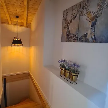 O Cantinho Da Penetra Al *