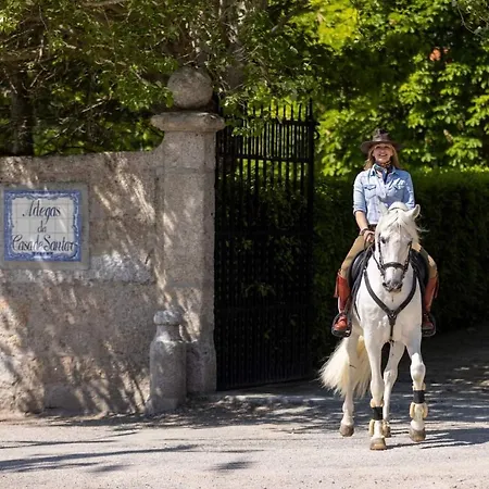 O Cantinho Da Penetra Al