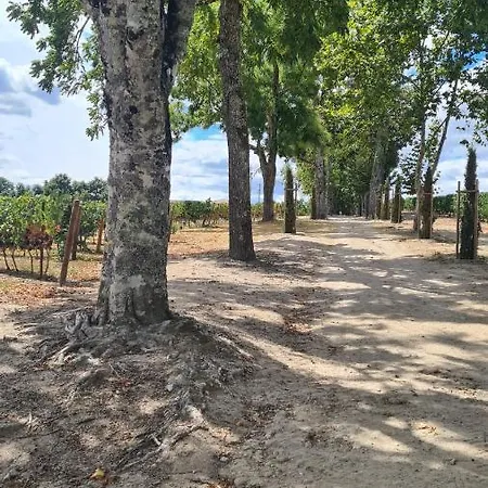 Apartman O Cantinho Da Penetra Al Santar