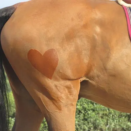 O Cantinho Da Penetra Al Santar