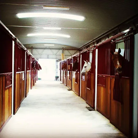 O Cantinho Da Penetra Al 公寓 *