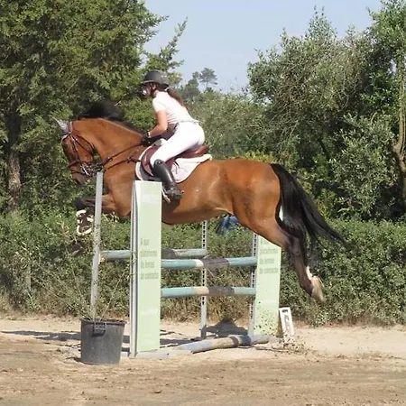 O Cantinho Da Penetra Al * Santar