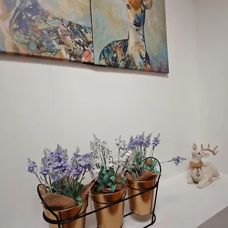 O Cantinho Da Penetra Al Santar